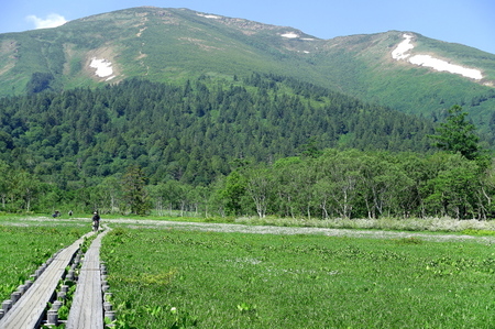 DSC02226.jpg