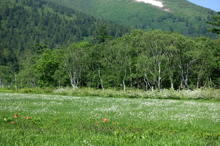 DSC02228.jpg