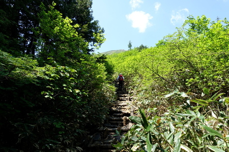 DSC02234.jpg