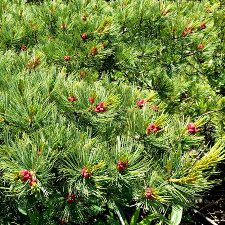 DSC02260.jpg