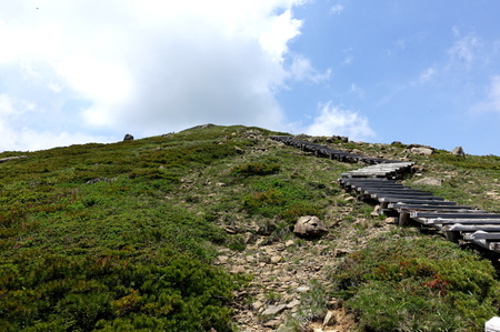 DSC02261.jpg