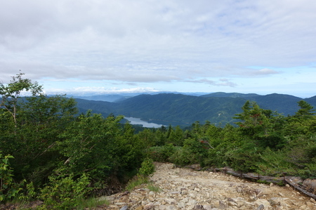 DSC02307.jpg