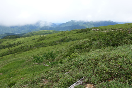 DSC02318.jpg