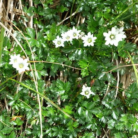 DSC02329.jpg