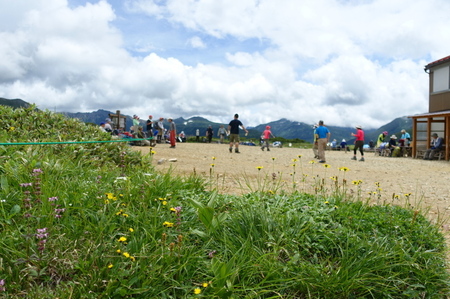 DSC02331.jpg