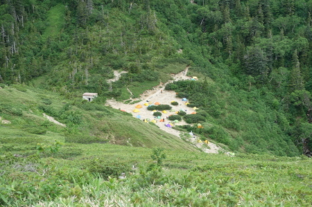 DSC02343.jpg