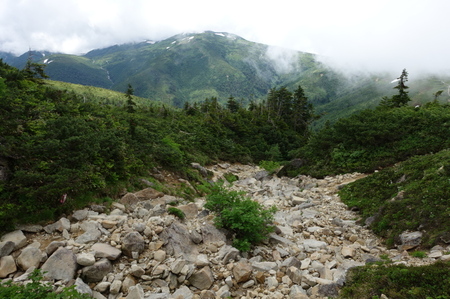 DSC02350.jpg