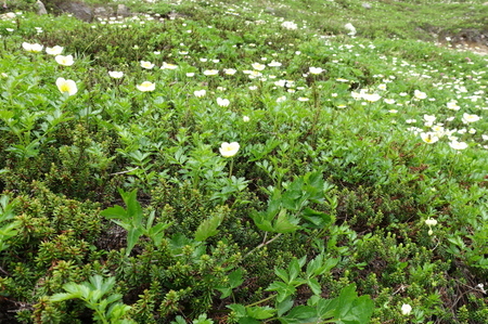 DSC02354.jpg