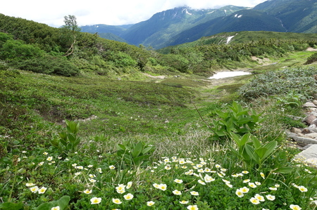 DSC02362.jpg