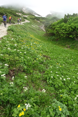 DSC02368.jpg