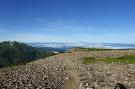 DSC02451.jpg