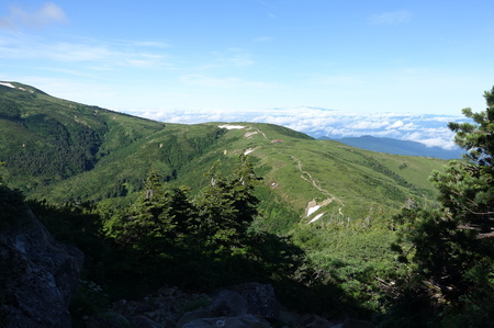 DSC02455.jpg