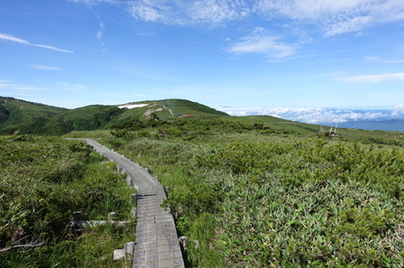DSC02458.jpg