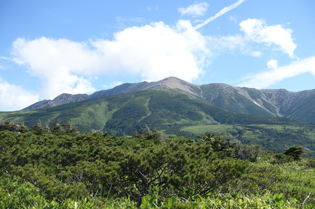 DSC02461.jpg