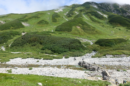 DSC02590.jpg