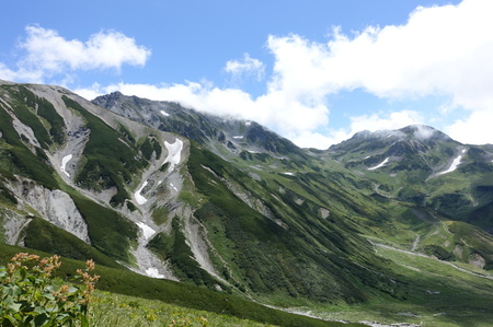 DSC02593.jpg
