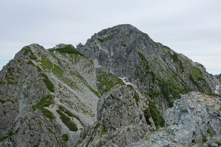 DSC02642.jpg