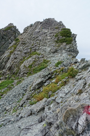 DSC02682.jpg