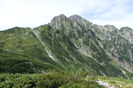 DSC02685.jpg