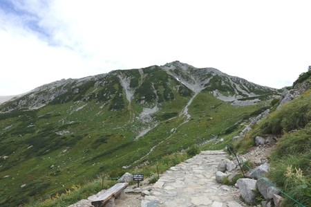 DSC02769.jpg