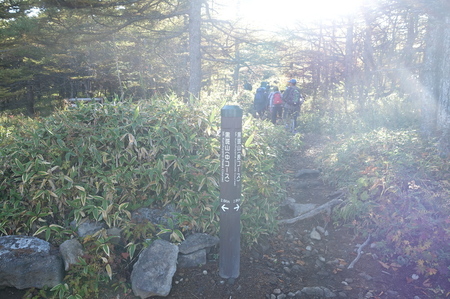 DSC02805.jpg