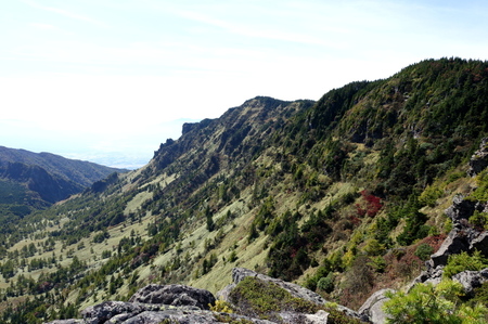DSC02854.jpg