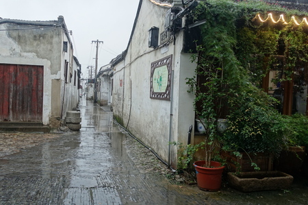 DSC03071.jpg