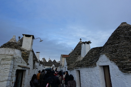 DSC03492.jpg