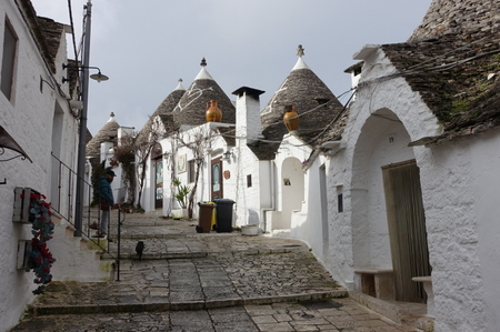 DSC03518.jpg