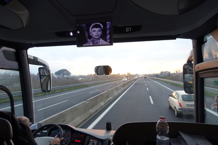 DSC03575.jpg