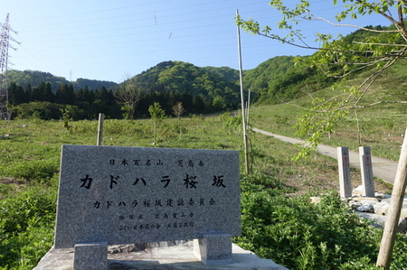 DSC03650.jpg