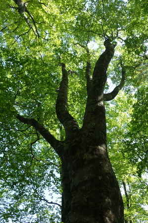 DSC03655.jpg