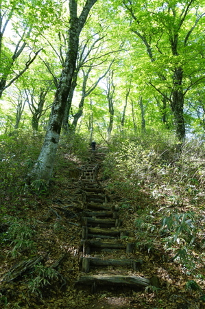 DSC03661.jpg