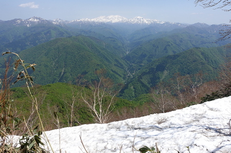 DSC03669.jpg