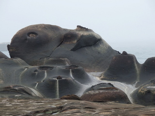 P4040617.jpg