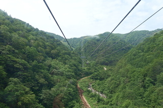 P5280868.jpg