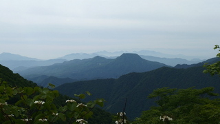 P5280878.jpg