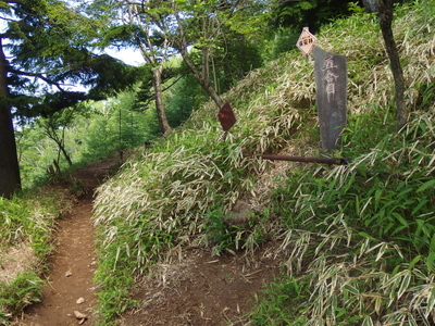 P6181041.jpg