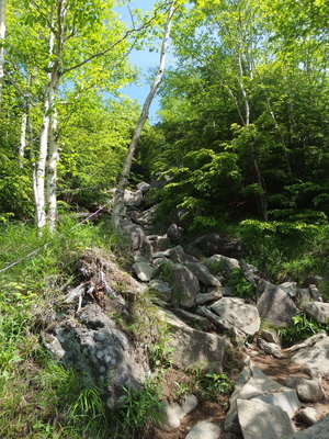 P6181042.jpg