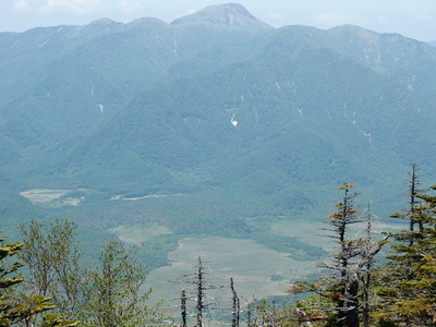 P6181054.jpg