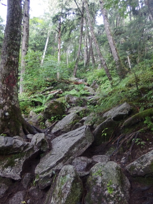 P7231142.jpg