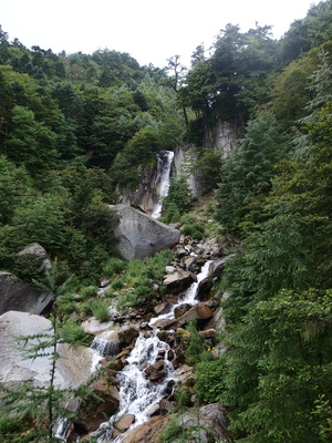 P7231143.jpg