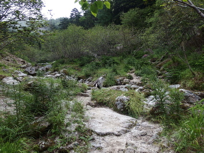 P7231153.jpg