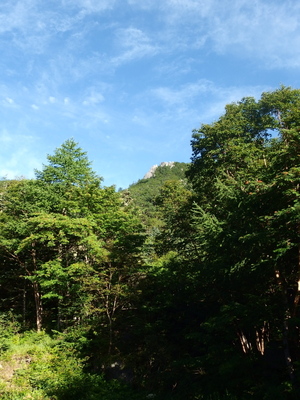 P7241164.jpg