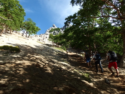 P7241169.jpg