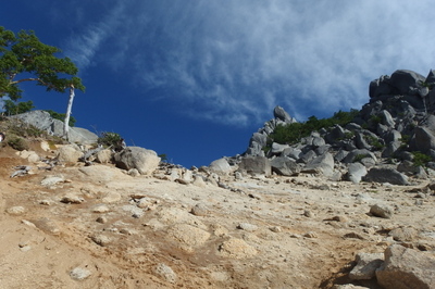 P7241173.jpg