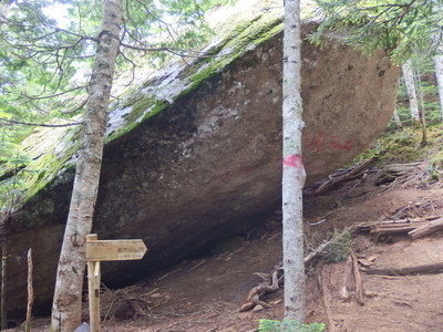 P7241244.jpg