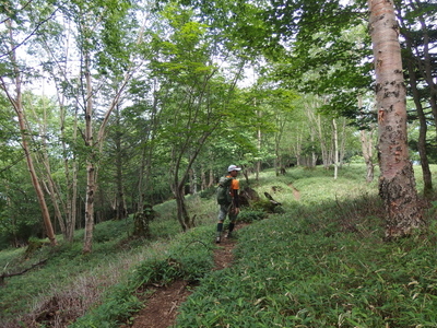 P7241248.jpg