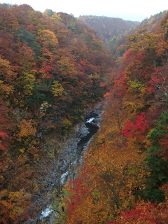 PA192214.jpg