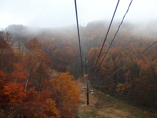 PA192216.jpg